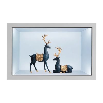 21.5 pollici vetrina LCD trasparente con touchscreen capacitivo e luminosità 2000nits armadio display digitale
